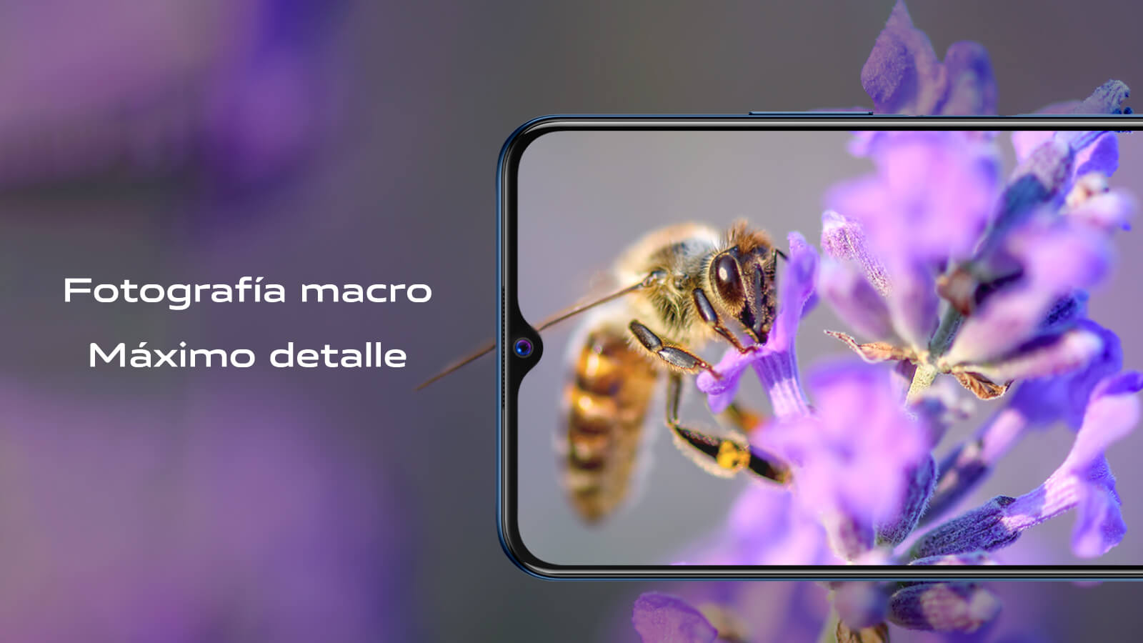 VIVO — Pieza publicitaria 06
