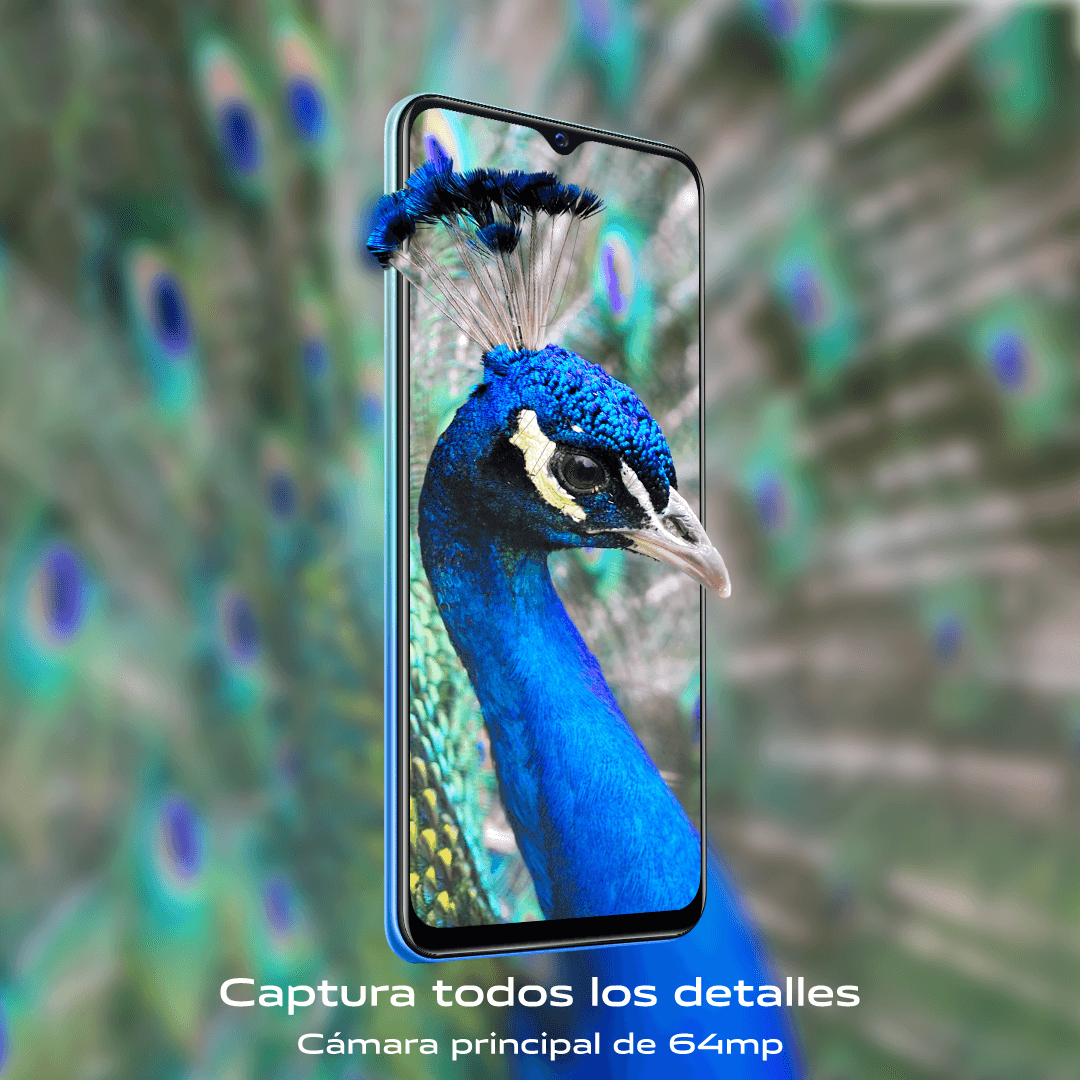 VIVO — Pieza publicitaria 07